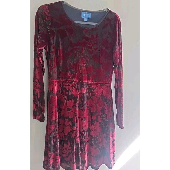 Simply Vera Burnout Red Velvet Fit & Flare Whimsygoth Mini Dress Size Medium - Picture 1 of 10